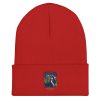 Dan’s 420 Concert Series #1 – Blunt Beanie - Image 6