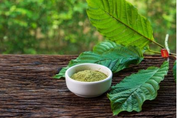 BREWING KRATOM TEA – Dans 420 Chronicles